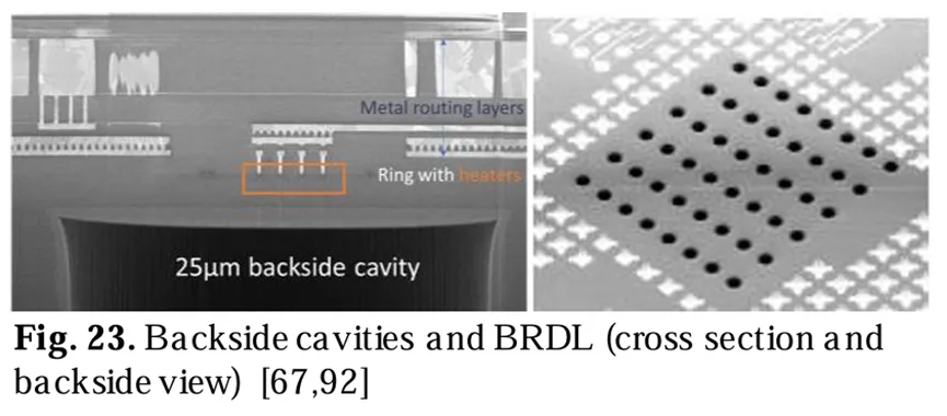 背面腔体和BRDL(横截面和背面视图) 背面腔体和BRDL(横截面和背面视图)
