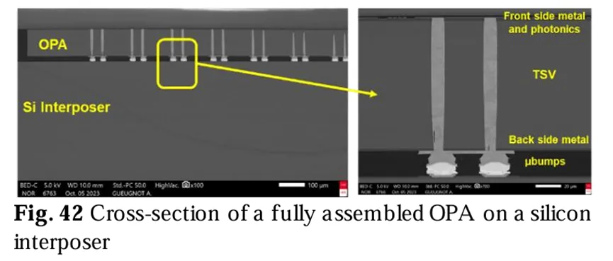 完全组装的OPA在硅中介层上的横截面 完全组装的OPA在硅中介层上的横截面