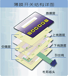 柔性光开关分层结构示意图 - 广西科毅